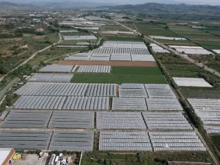 INSTAT: Bujqësia, i vetmi sektor që vijoi zgjerimin e fortë të eksporteve!