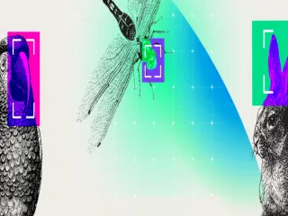 ia 1280x720