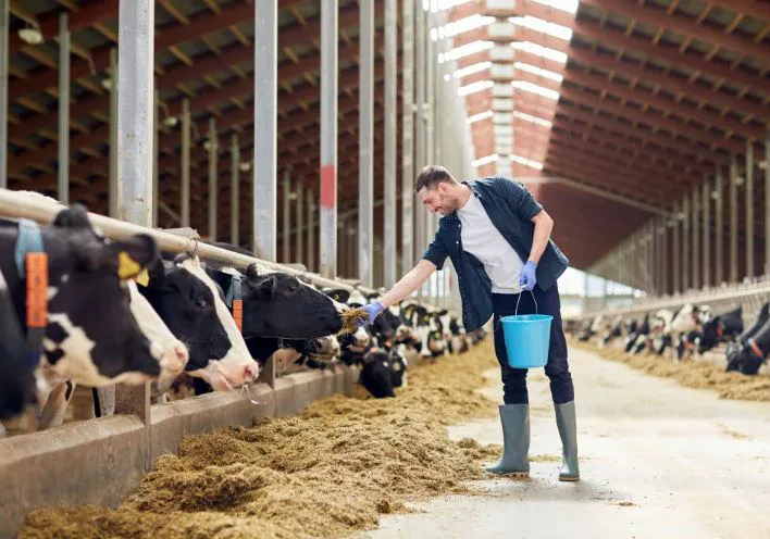 Fermerët, kredi me prodhimin e ardhshëm – Projektligji, do kenë të drejtë ta lënë si kolateral. Përfshihet dhe produkti i magazinuar