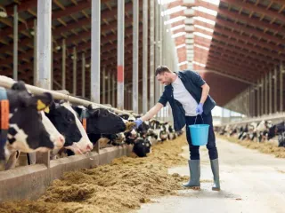 Fermerët, kredi me prodhimin e ardhshëm – Projektligji, do kenë të drejtë ta lënë si kolateral. Përfshihet dhe produkti i magazinuar