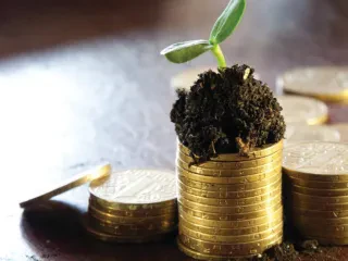 Mikrofinanca preferon huatë në lekë kundrejt euros – 297 mijë mikrokredi në një vit. Bujqësia, sektori më i kredituar pasuar nga tregtia