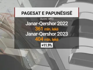 Më shumë para nga buxheti për të papunët, sipërmarrja më në nevojë se kurrë për njerëz