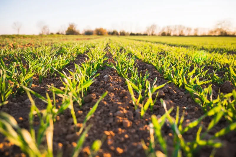 14.2 billion lek budget for agriculture in 2023