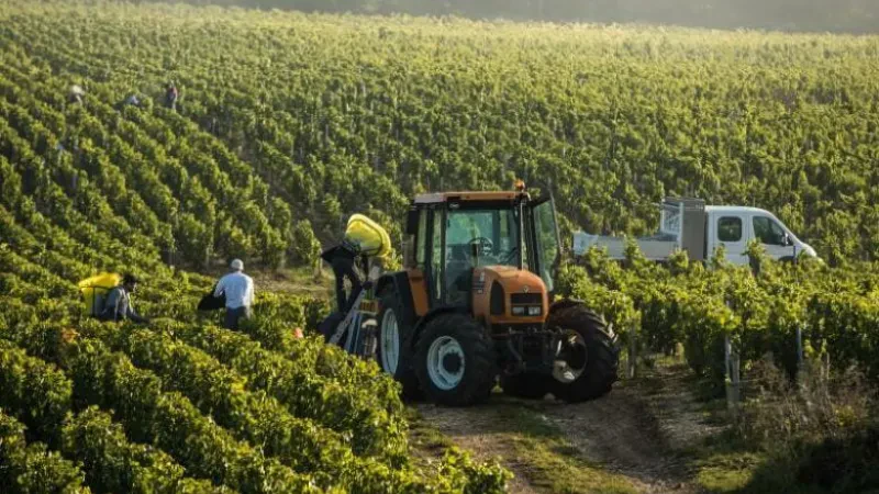 Kriteret, kush përfiton nga fondi 3.3 mld lekë në bujqësi? – Aplikimet për fermerët hapen më 20 Mars, financohen 9 masa