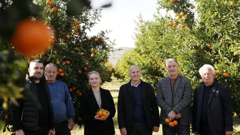 Denaj nga Konispoli: Përmirësimi i infrastrukturës ujitëse dhe energjetike do rrisë prodhimin bujqësor!