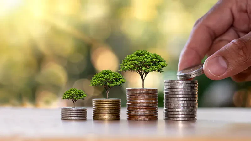 85% e shqiptarëve, të shqetësuar për degradimin mjedisor – BERZH: Janë të gatshëm të paguajnë më shumë taksa për mbrojtje mjedisore
