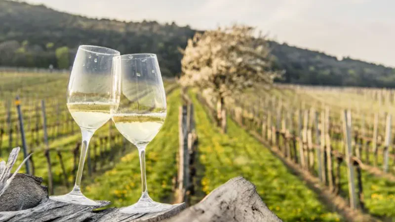 Objektiva ambiciozë për menaxhimin e agroturizmit – Në 100 subjekte turistike të certifikuara përllogariten 14.5 milionë euro në vit