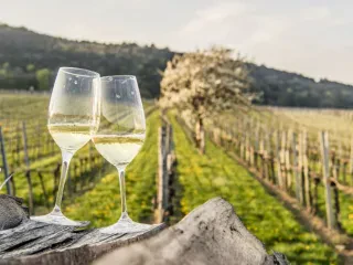 Objektiva ambiciozë për menaxhimin e agroturizmit – Në 100 subjekte turistike të certifikuara përllogariten 14.5 milionë euro në vit