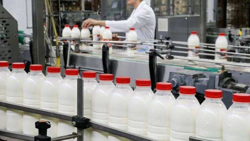 Na kushtojnë më lirë prodhimet e importit – Energjia dhe industria përpunuese shtrenjtojnë prodhimin vendas