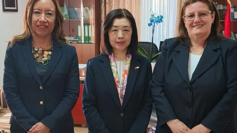 Dorëzohen 6 sisteme fotovoltaike diellore në godinat publike të Klosit dhe Peshkopisë nëpërmjet projektit të UNDP-së, financuar nga Qeveria Japoneze!
