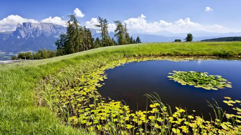 Nga Shkodra në Berat, investime për turizmin natyror – BERZH hap tenderët, sipas projektit 40 mln euro për infrastrukturën dhe turizmin