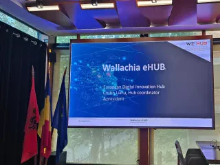 Ambasada e Rumanisë në Shqipëri organizon tryezë të rrumbullakët për eHUB në Tiranë