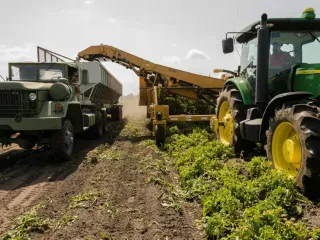Shpallet lista e fituesve të subvencioneve në bujqësi – Nga mbi 15 mijë aplikantë që kaluan fazën e parë, financohen rreth 4300 fermerë