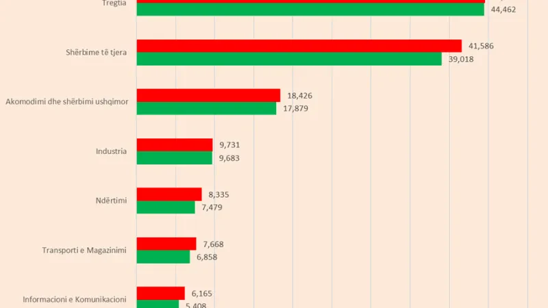 Ndërtimi dhe teknologjia udhëheqin rritjen e bizneseve, ngec industria