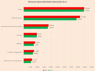 Ndërtimi dhe teknologjia udhëheqin rritjen e bizneseve, ngec industria
