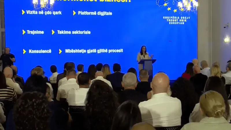 Ibrahimaj: Në tetor nis programi për përgatitjen e 48 mijë bizneseve për tregun e BE-së