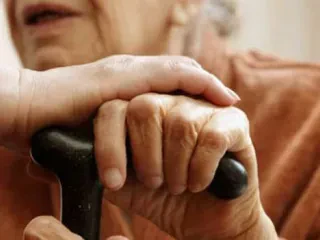 Plakja e popullsisë nuk do të thotë domosdoshmërisht ekonomi më e dobët