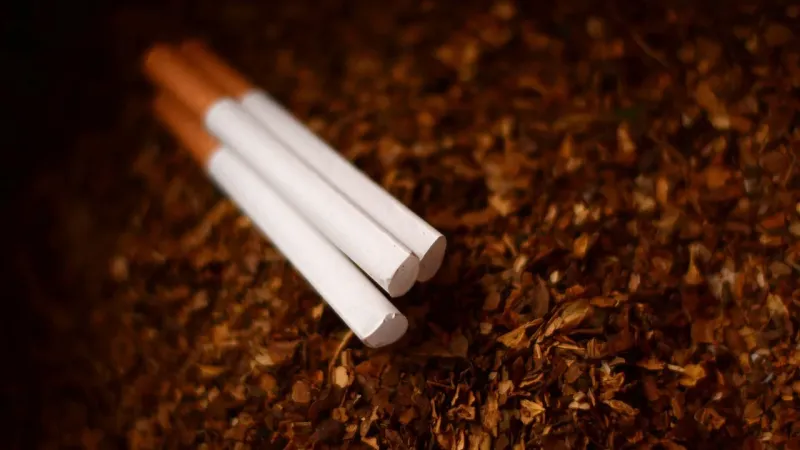 Gjermania rrit taksat për duhanin: paketa e cigareve mund të kushtojë mbi 11 euro deri në 2030