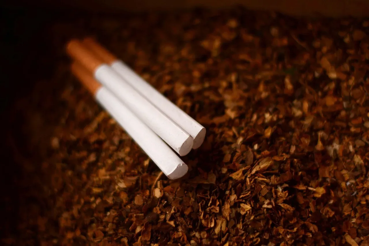 Gjermania rrit taksat për duhanin: paketa e cigareve mund të kushtojë mbi 11 euro deri në 2030