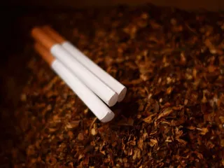 Gjermania rrit taksat për duhanin: paketa e cigareve mund të kushtojë mbi 11 euro deri në 2030