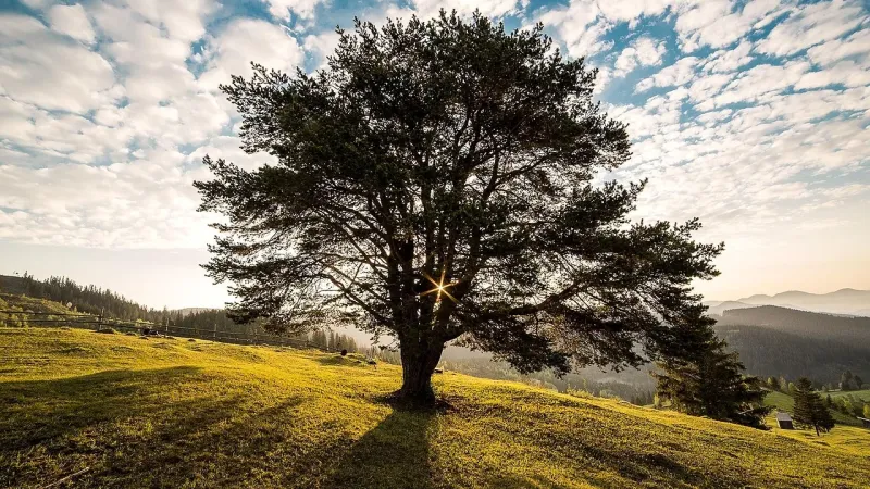 Bukovina e Rumanisë kryeson listën e destinacioneve më të nënvlerësuara në botë për 2027