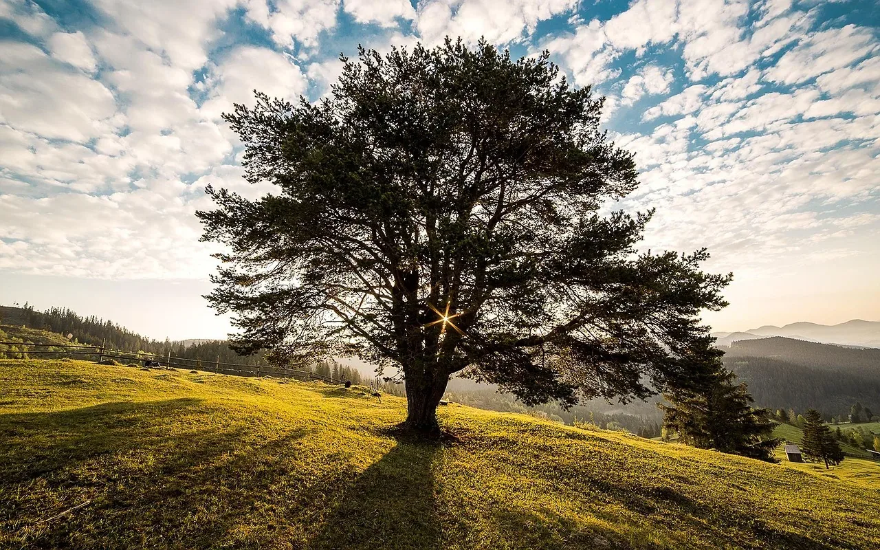 Bukovina e Rumanisë kryeson listën e destinacioneve më të nënvlerësuara në botë për 2027