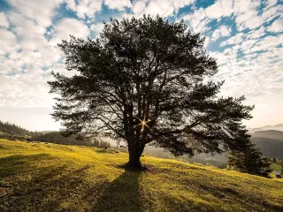 Bukovina e Rumanisë kryeson listën e destinacioneve më të nënvlerësuara në botë për 2027