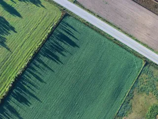 ASHK përgatit hartën e re të vlerës së tokës, analizohen 33,582 transaksione nga 2017 deri në 2025