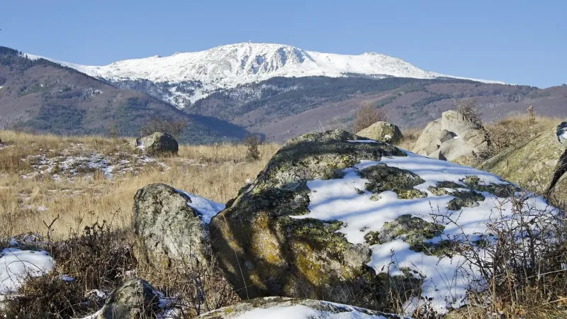 Procesi i Berlinit mbush 13 vjet: çfarë ka përfituar Shqipëria nga nisma rajonale