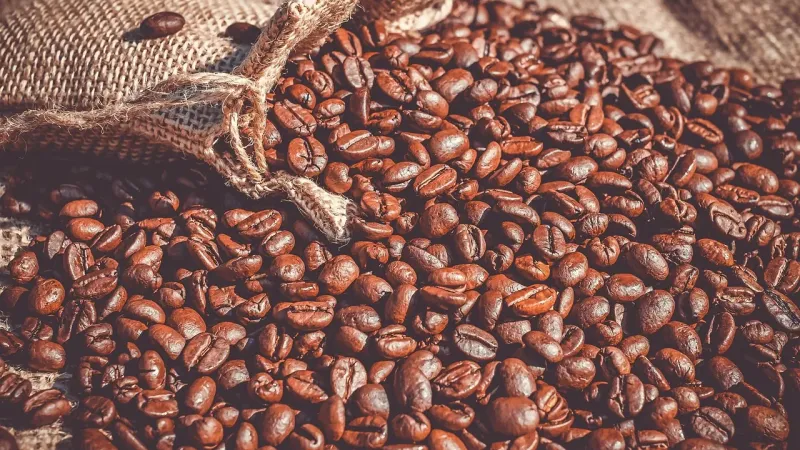 Doganat zbulojnë mungesë prej 69.5 tonësh kafe në një magazinë fiskale në Durrës